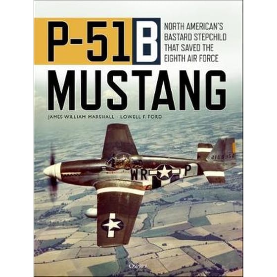 P-51B Mustang image 0