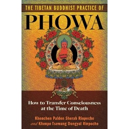 The Tibetan Buddhist Practice of Phowa