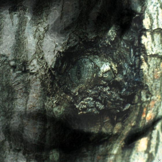 La Valse Des Monstres image 0