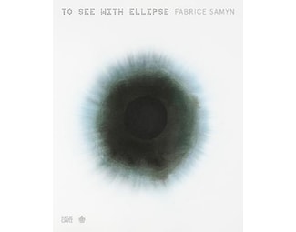 Fabrice Samyn (Dutch edition) : To See with Ellipse image 0