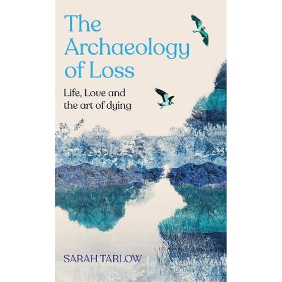 The Archaeology of Loss image 0