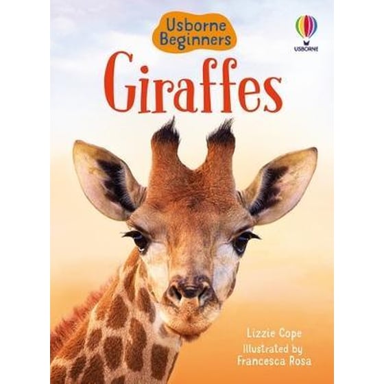 Giraffes image 0