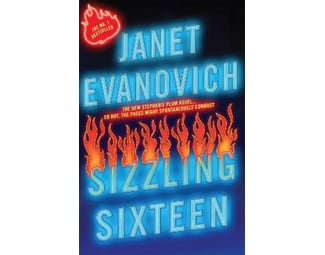 Sizzling Sixteen image 0