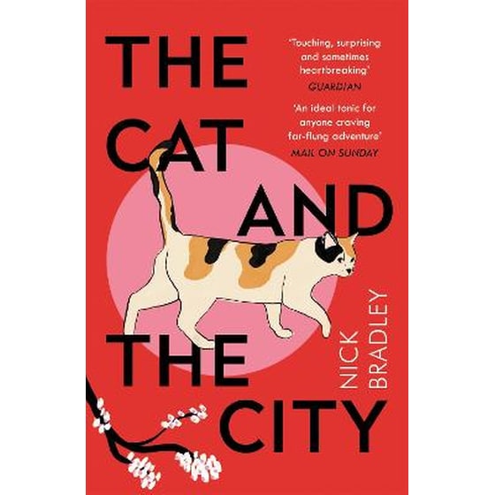 Cat and The City image 0