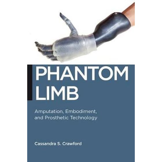 PHANTOM LIMB image 0