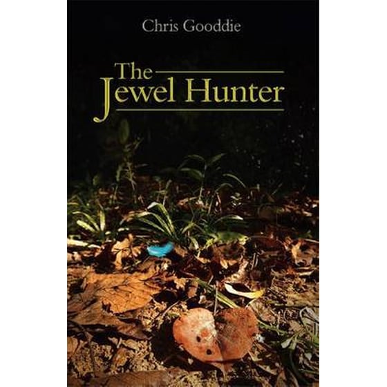 Jewel Hunter image 0