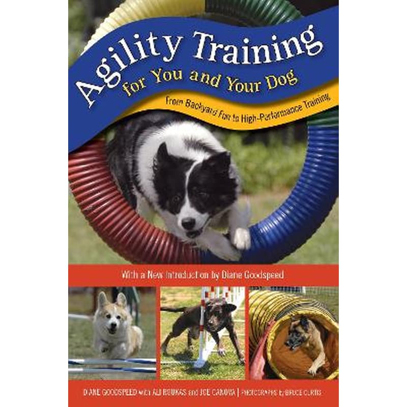 Agility Training for You and Your Dog