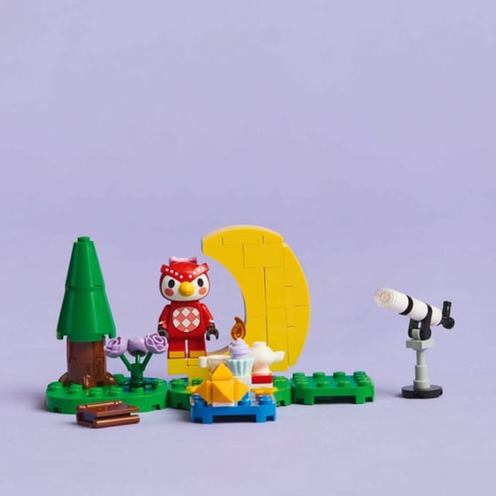 LEGO® Animal Crossing Stargazing with Celeste (77053) image 11