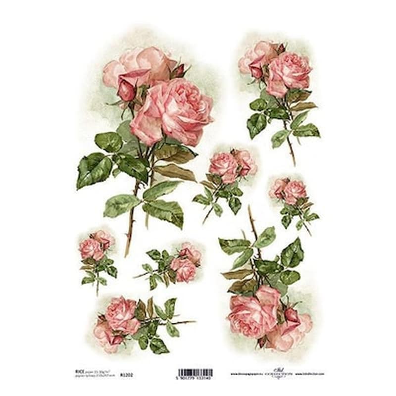 ITD COLLECTION T.JANKOWSKI, W. Ριζόχαρτο pink Roses 21x29εκ. (itd-r1202)