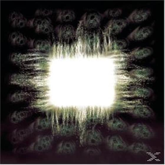 Aenima image 0