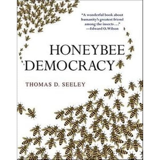 HONEYBEE DEMOCRACY image 0