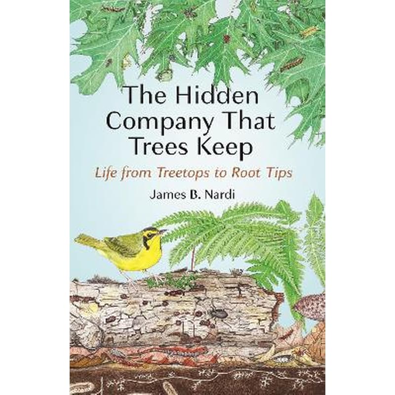 The Hidden Company That Trees Keep