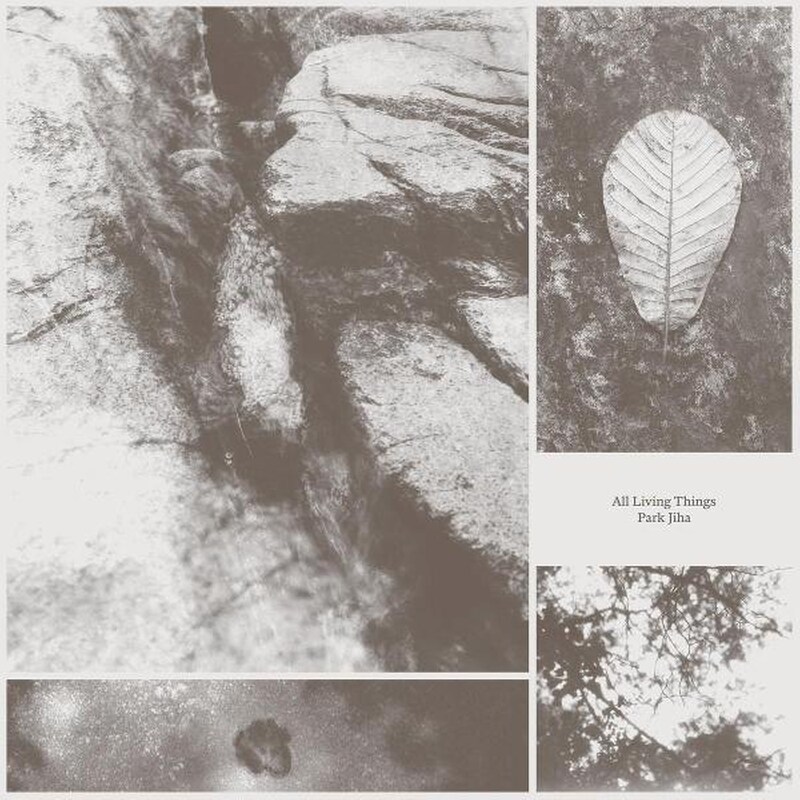 All Living Things (LP)