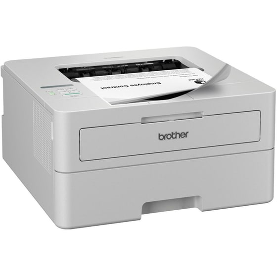 Brother HL-L2865DW Ασπρόμαυρος Εκτυπωτής Laser A4 με Wi-Fi (HLL2865DW) image 1