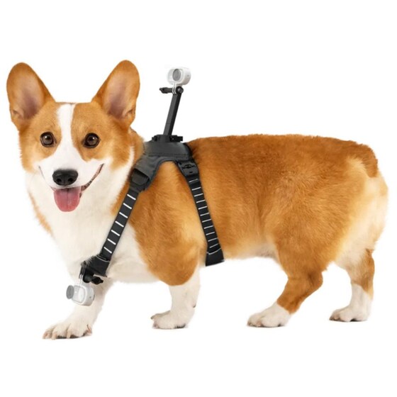 Βάση Στήριξης για Action Camera Insta360 GO3/3S Pet Harness M - Μαύρο image 3