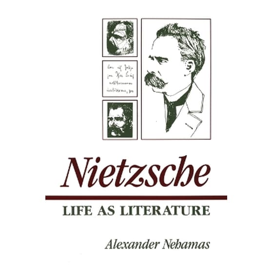 Nietzsche image 0