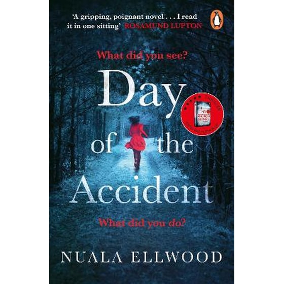 The Day of the Accident image 0