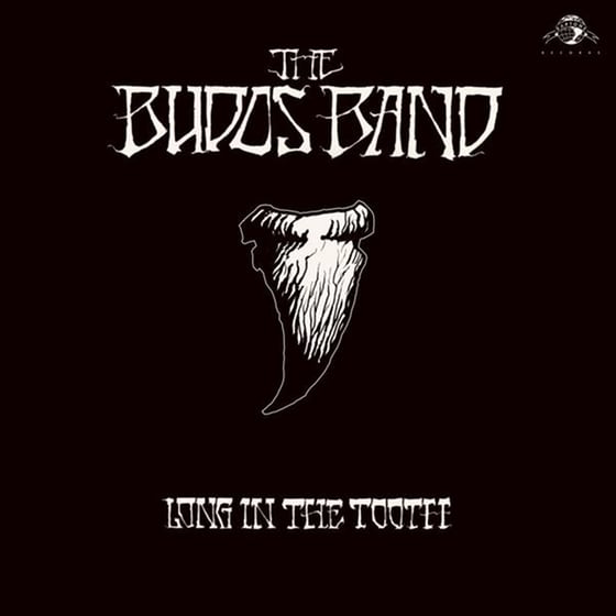 Long In The Tooth (Lp+Mp3) image 0