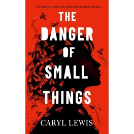 The Danger of Small Things