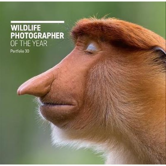 Wildlife Photographer of the Year image 0