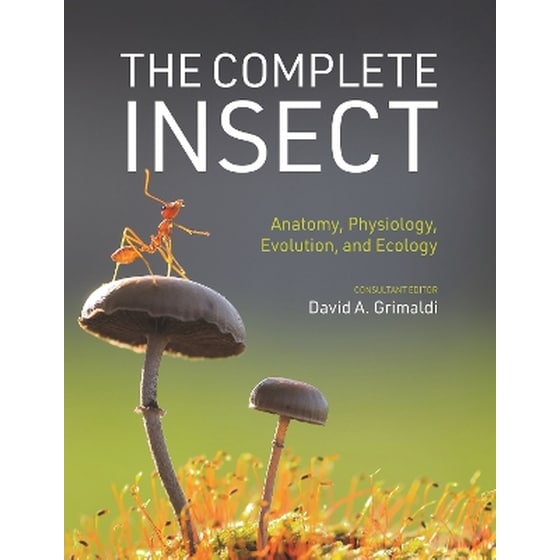 The Complete Insect image 0