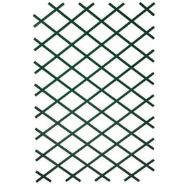 Nature Καφασωτό Κήπου Πράσινο 50 X 150 Εκ. Από Pvc 6040702