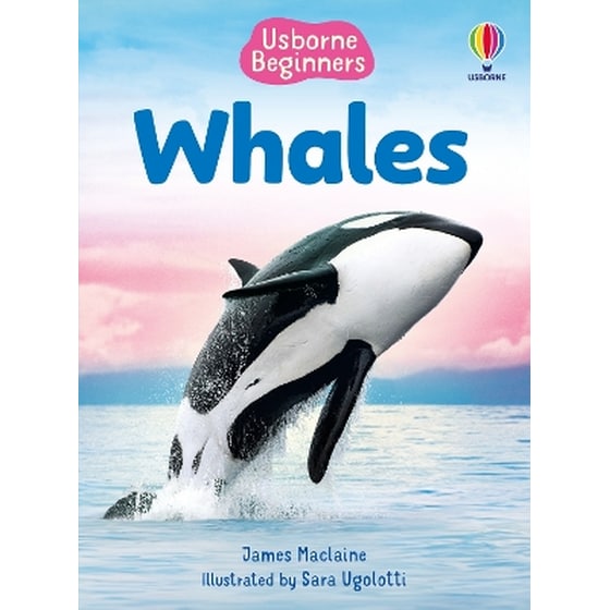 Beginners Whales image 0
