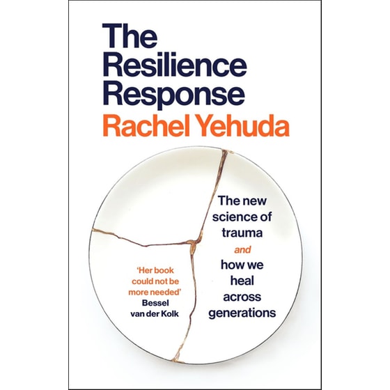 The Resilience Response image 0