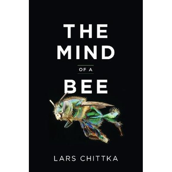 Mind of a Bee image 0