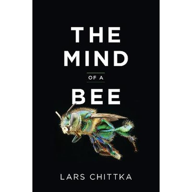 Mind of a Bee