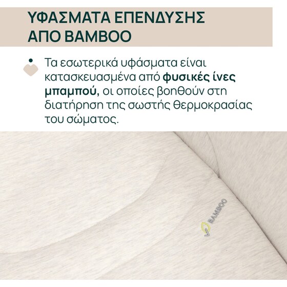 Chicco Port Bebe Flexi για Καρότσι Bellagio Fir Tree image 6