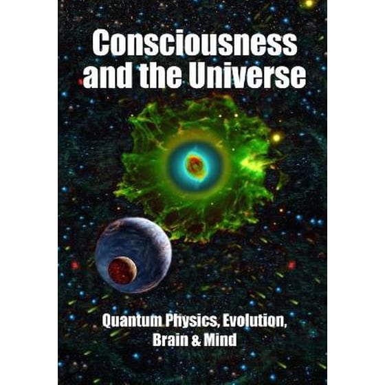 Consciousness and the Universe image 0