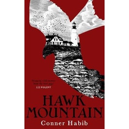 Hawk Mountain : A highly suspenseful and unsettling literary thriller