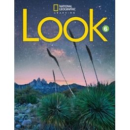 Look 6 with the Spark platform (AME)