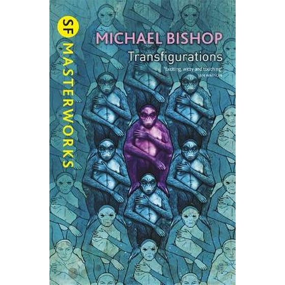 Transfigurations image 0