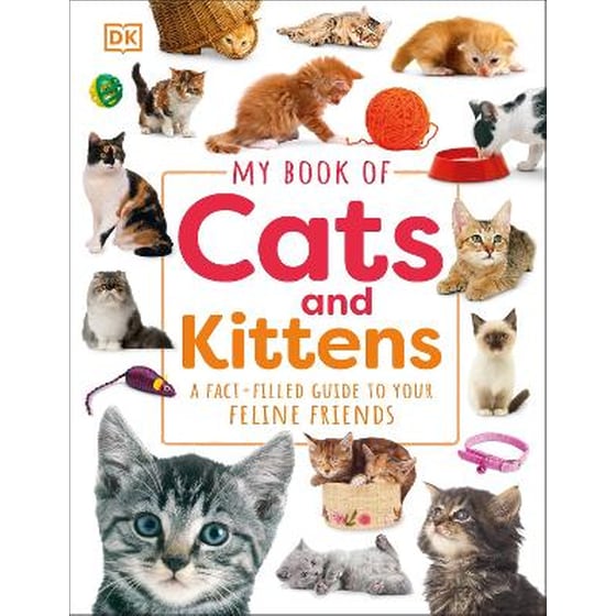 My Book of Cats and Kittens image 0