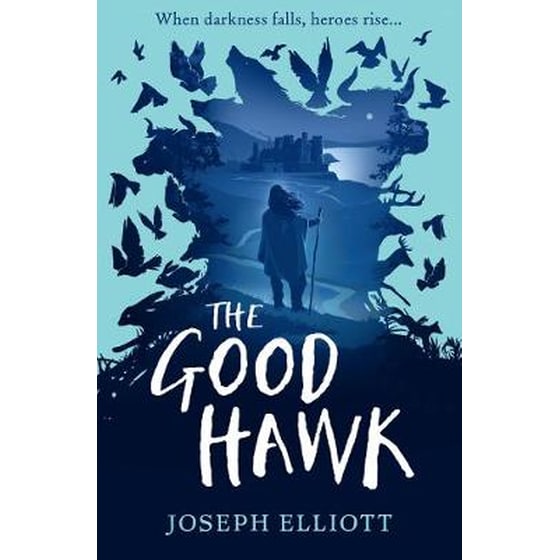 Good Hawk (Shadow Skye, Book One) image 0
