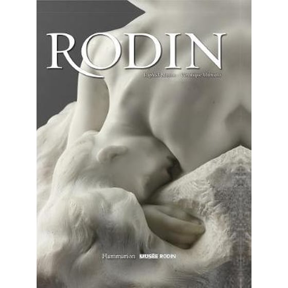 Rodin image 0