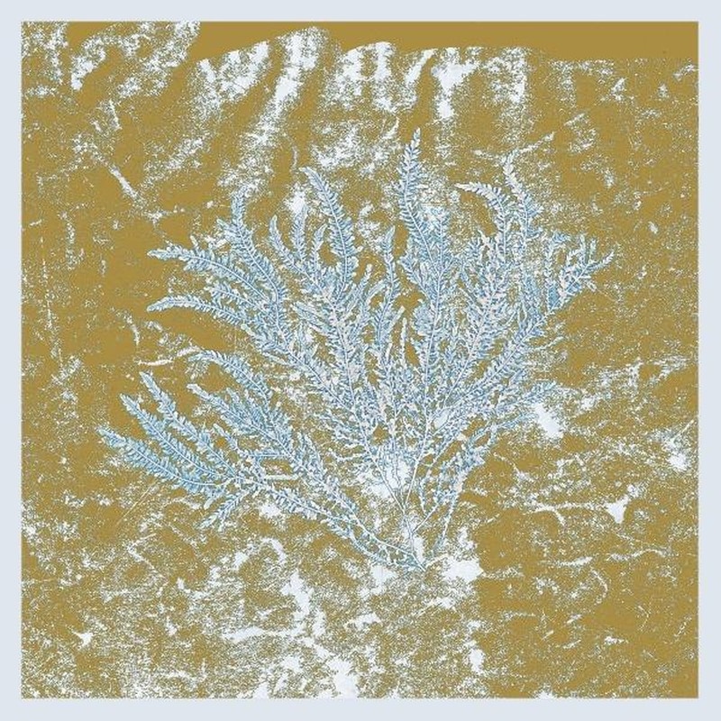 For Those Of You Who Have Never