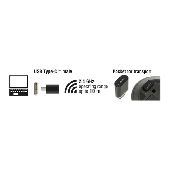 DeLock Mini USB Ασύρματο Mini Ποντίκι Μαύρο image 2