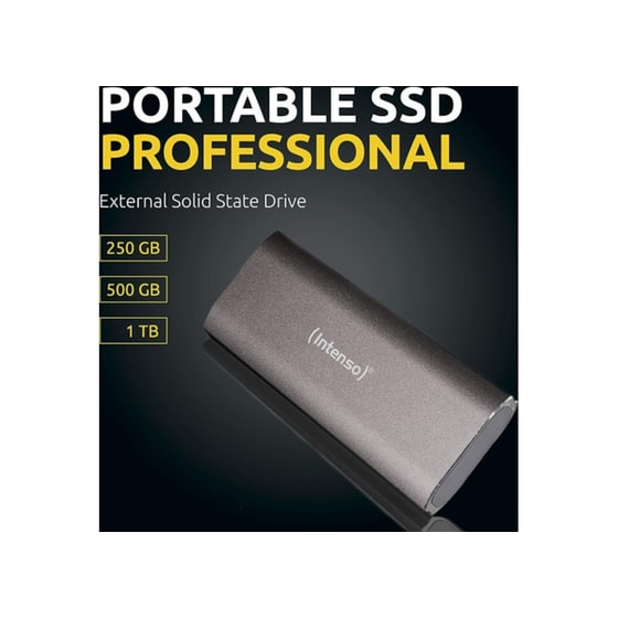 Intenso Pro USB Type-C SSD 500GB 1.8" - Γκρι image 4