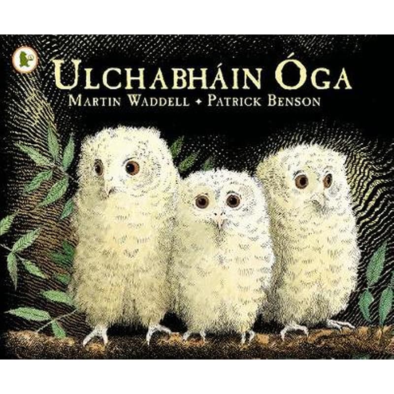 Ulchabhain Oga (Owl Babies)