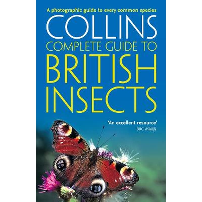 British Insects