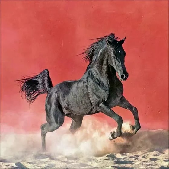Ημερολόγιο Τοίχου 2025 Horses image 1