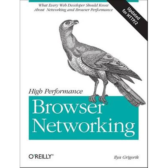 High Performance Browser Networking image 0