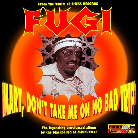 Mary, Don’t Take Me On No Bad Trip (LP) image 0