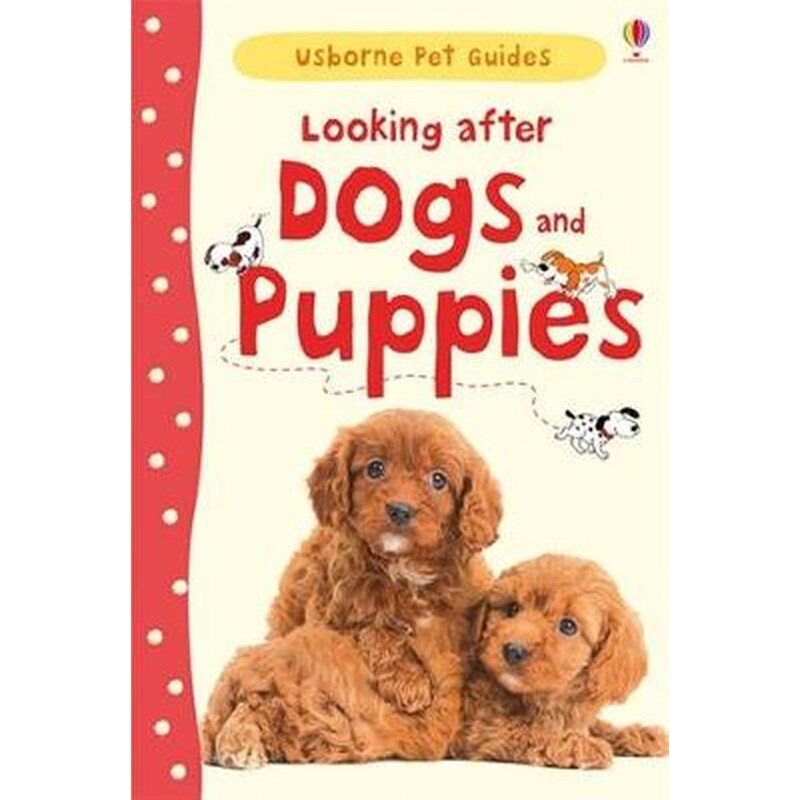 Looking After Dogs and Puppies