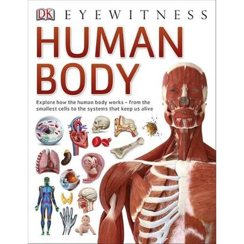 Human Body 1288032
