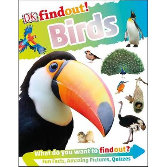 DKfindout! Birds image 0