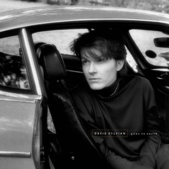 Gone To Earth (Coloured LP) image 0
